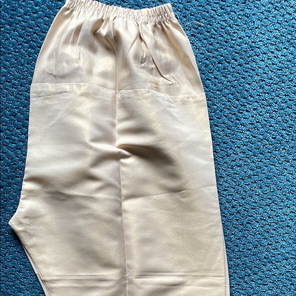 Pakistani Outfit, Never Been Worn, Canadian size L - Picture 3 of 4